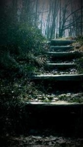 wooden outdoor stairs at park