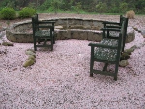 1-empty chairs in garden everything covered in pink cherry blossoms