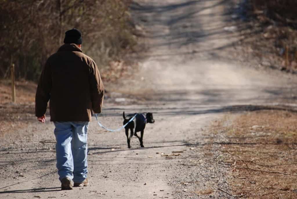 Joseph & Daisy walking in winter backs to camera