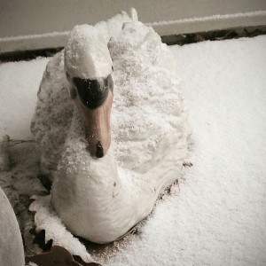 ceramic swan dusted in snow on front porch