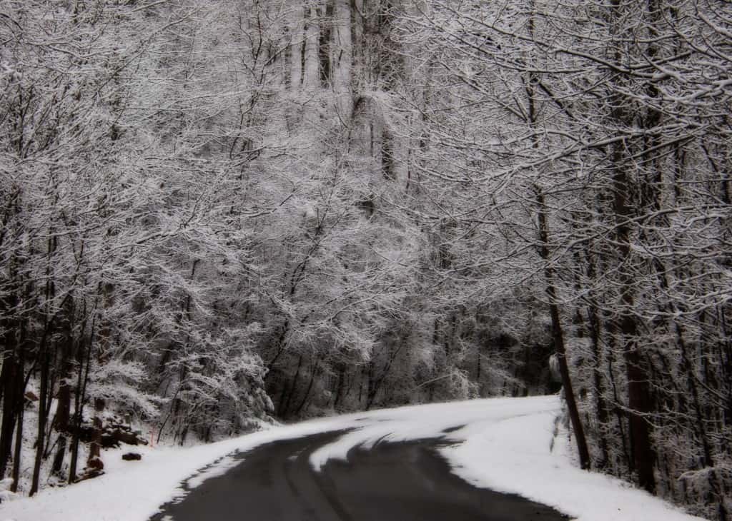 snowy street