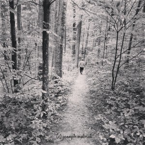 Black and white picture of a trail in the woods with a lone woman walking down it.