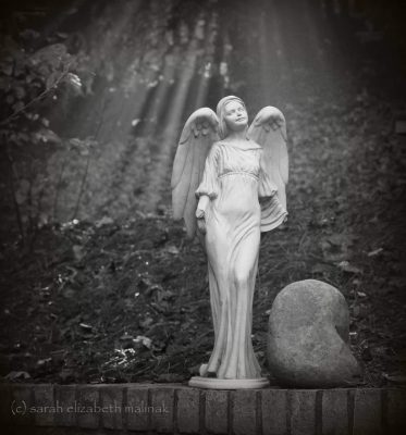 white stone angel statue - she looks up to heaven with eyes closed - sun rays shine through the trees behind her.